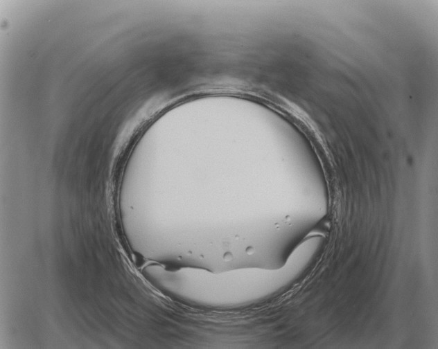 X0000086301464200704271815