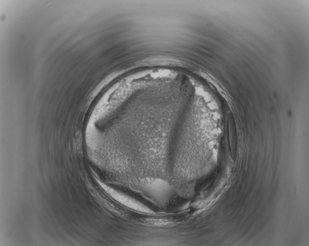 X0000086301465200704271815