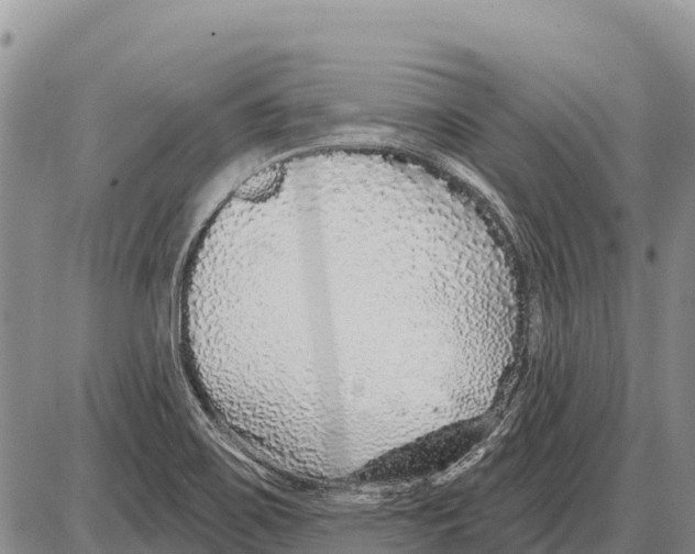 X0000086301467200704271815