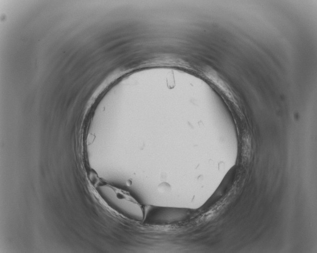 X0000086301468200704271815