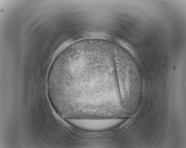 X0000086301471200704271815