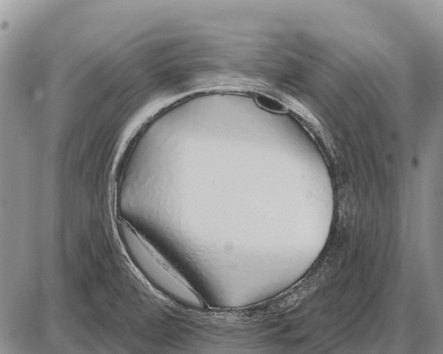 X0000086301472200704271815