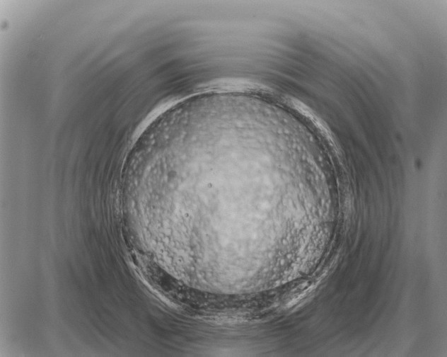 X0000086301473200704271815