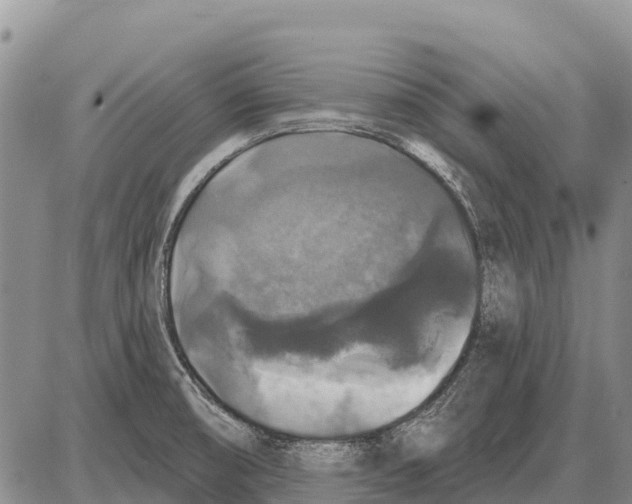 X0000086301474200704271815