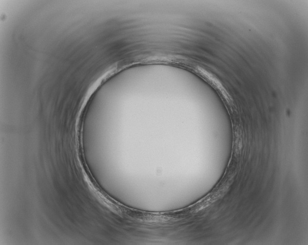 X0000086301475200704271815