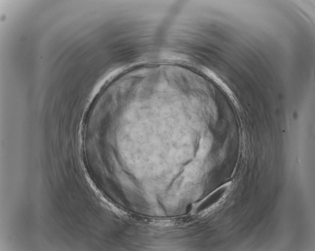 X0000086301477200704271815