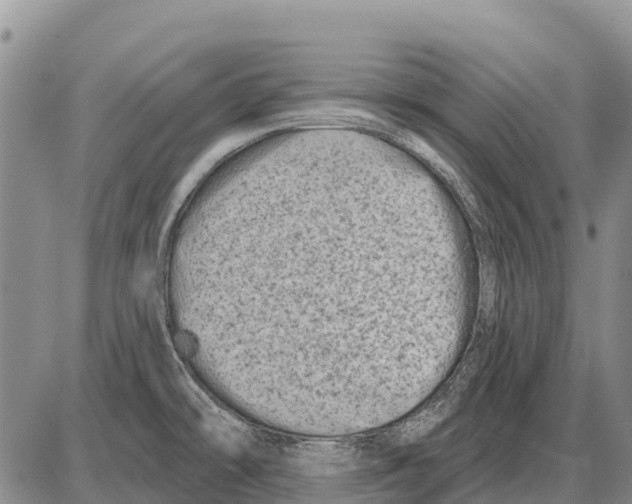 X0000086301478200704271815