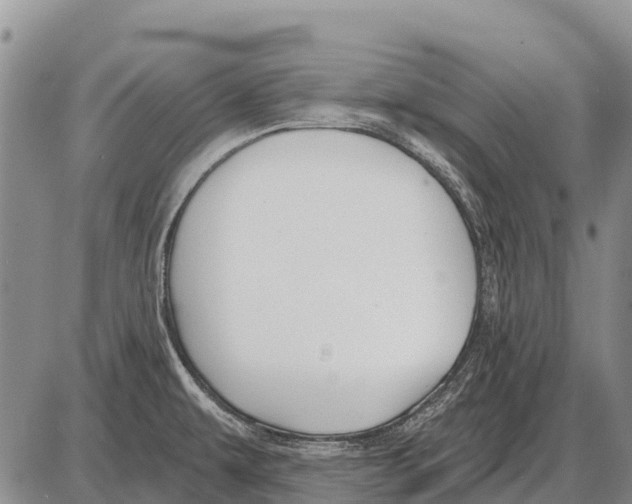 X0000086301479200704271814