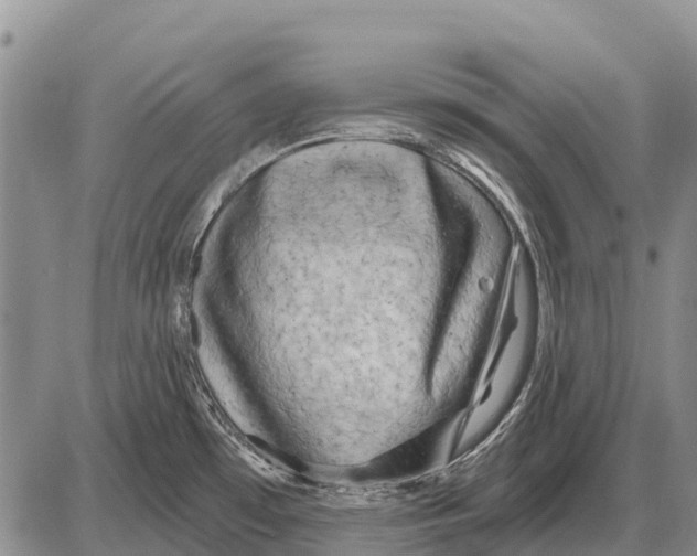 X0000086301481200704271814