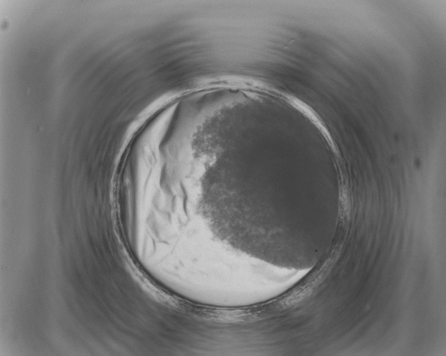 X0000086301482200704271814