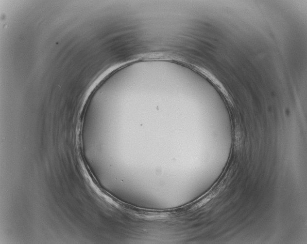 X0000086301484200704271814