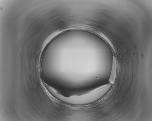 X0000086301485200704271814