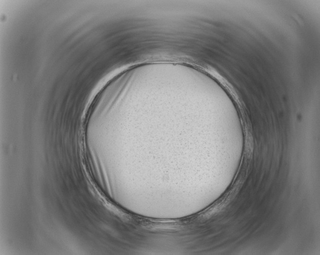 X0000086301486200704271814