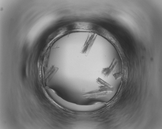X0000086301487200704271814