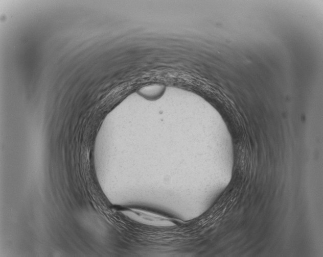 X0000086301489200704271814