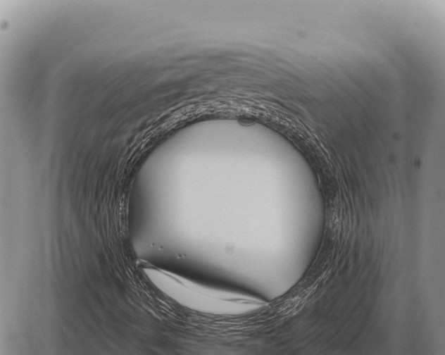 X0000086301490200704271814