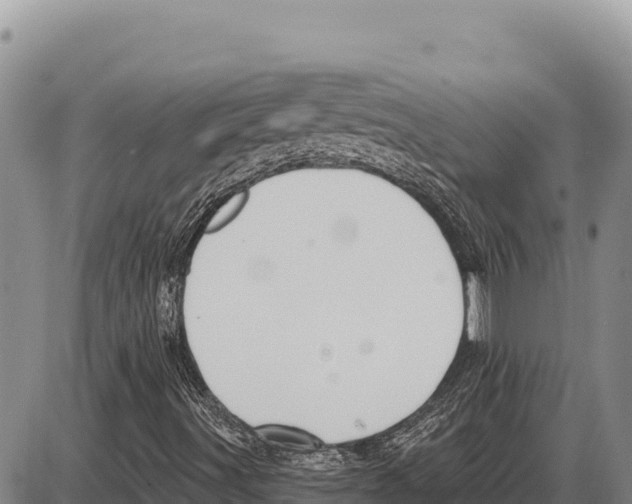 X0000086301491200704271814