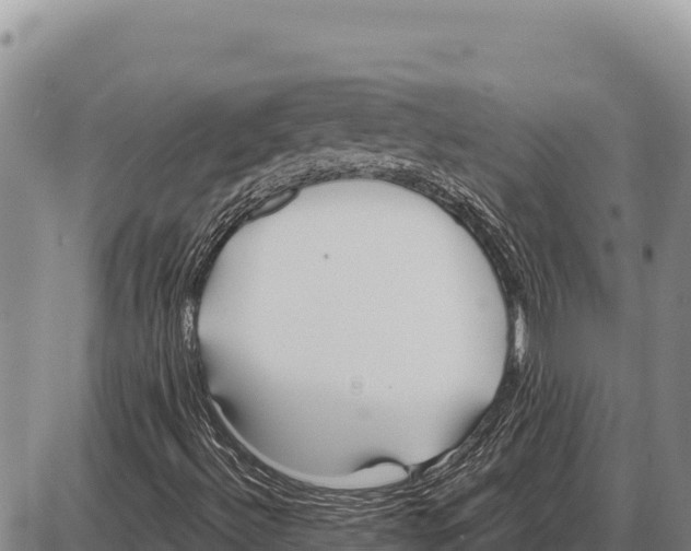 X0000086301492200704271814