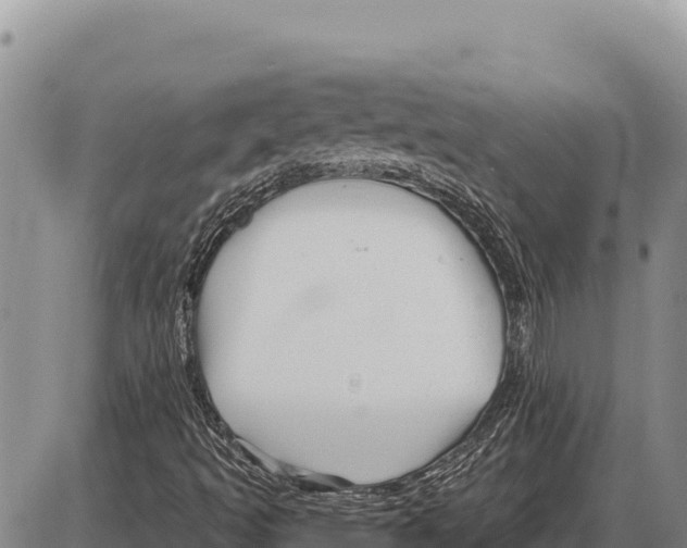 X0000086301493200704271814