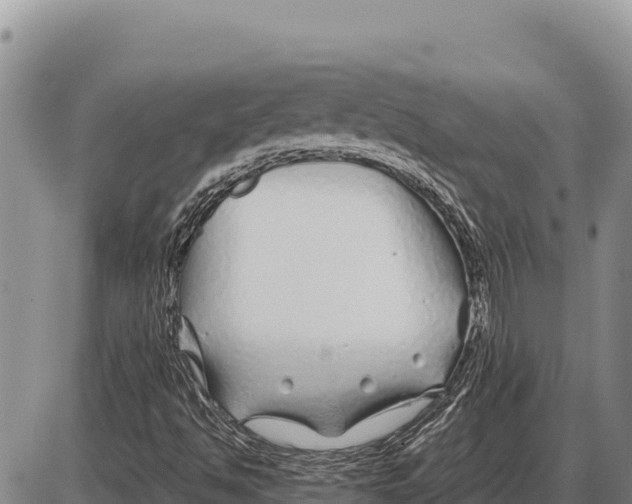 X0000086301494200704271814