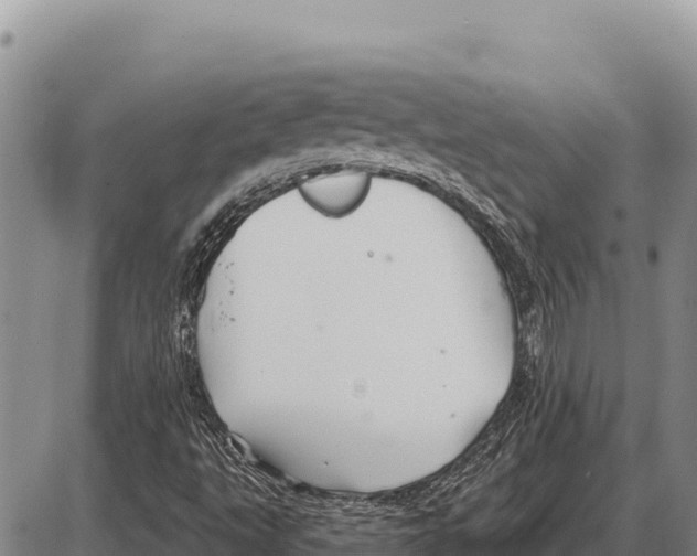 X0000086301495200704271814