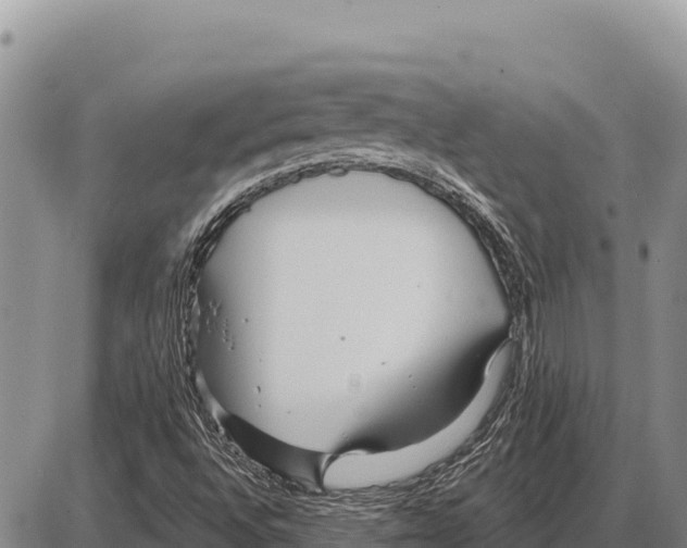 X0000086301496200704271814