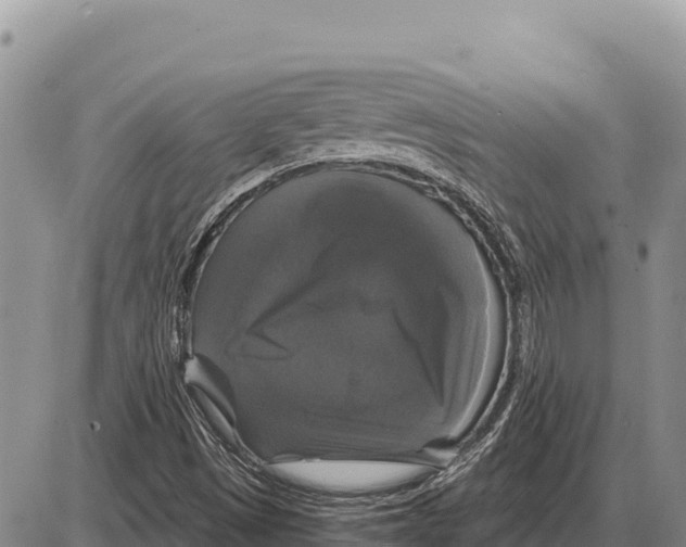 X0000086301497200704271814