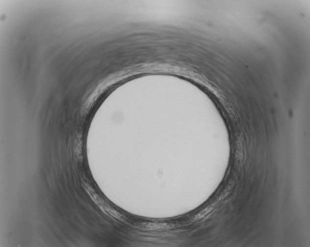 X0000086301499200704271814