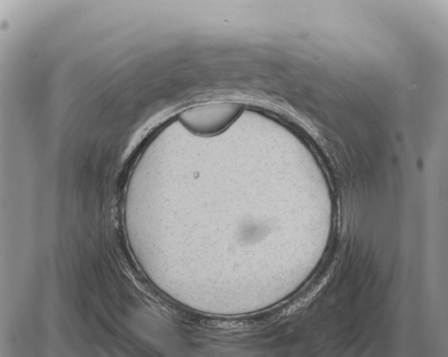 X0000086301501200704271814