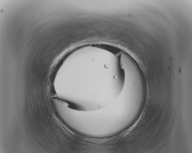 X0000086301502200704271814