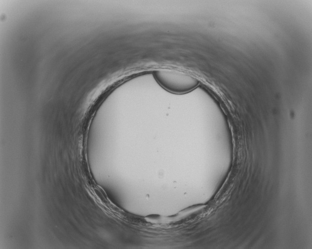 X0000086301503200704271814