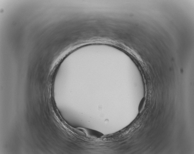 X0000086301504200704271814