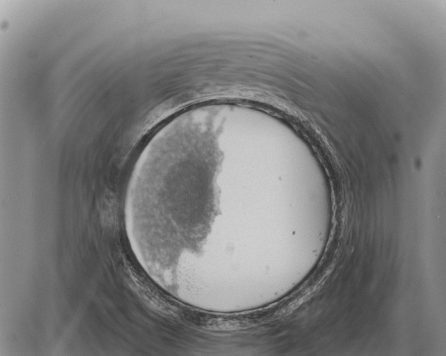 X0000086301505200704271814