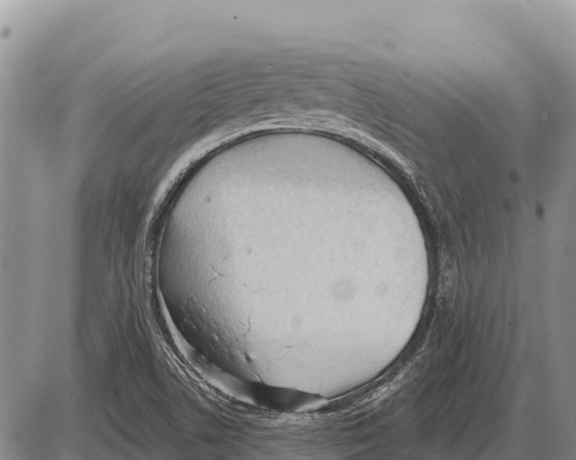 X0000086301506200704271814