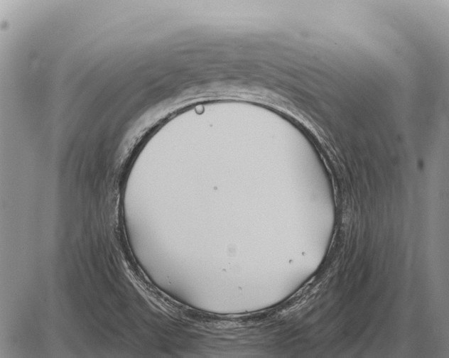 X0000086301507200704271814