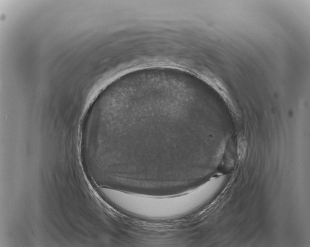 X0000086301508200704271814