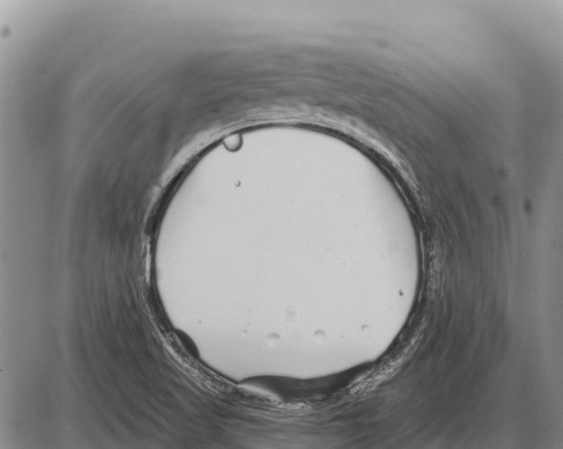 X0000086301509200704271814