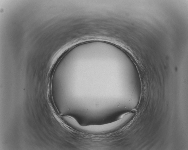 X0000086301511200704271814