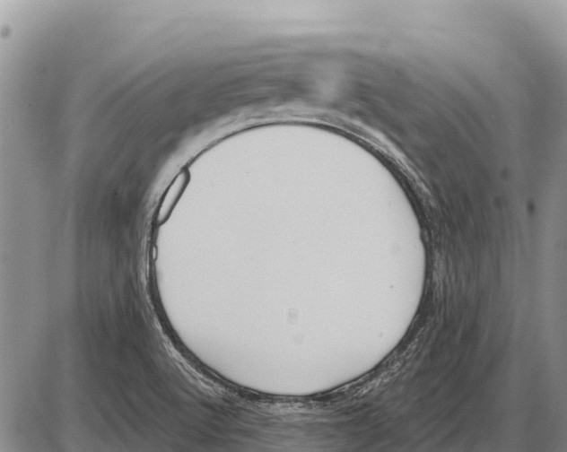 X0000086301512200704271814