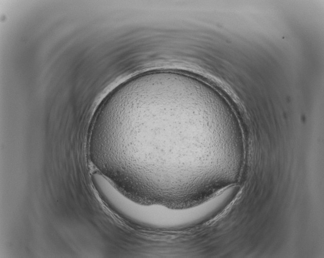 X0000086301513200704271814