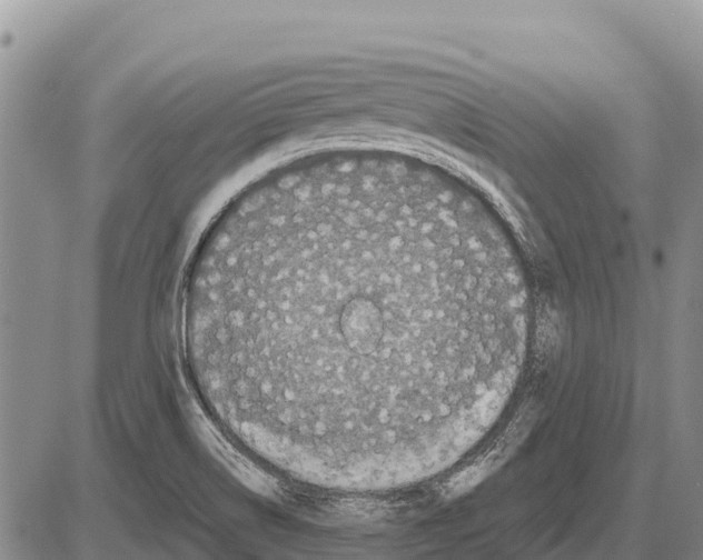 X0000086301514200704271814