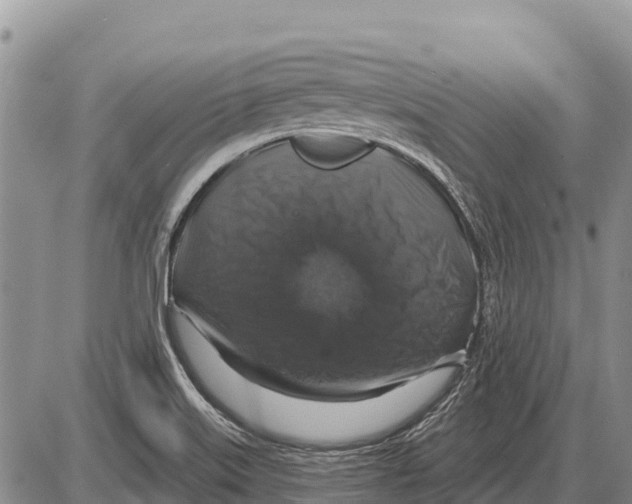 X0000086301515200704271814