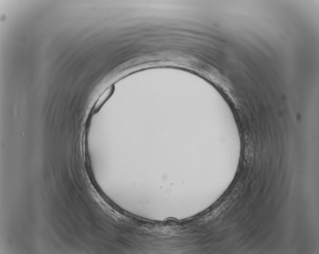 X0000086301516200704271814