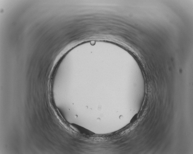 X0000086301517200704271814