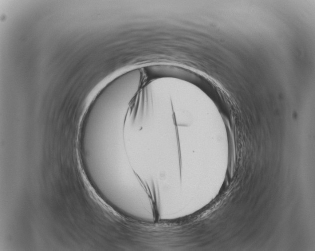 X0000086301518200704271814