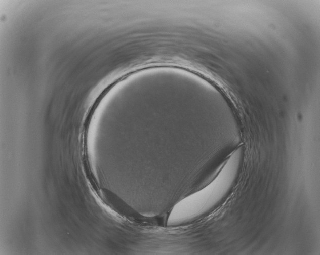 X0000086301519200704271814