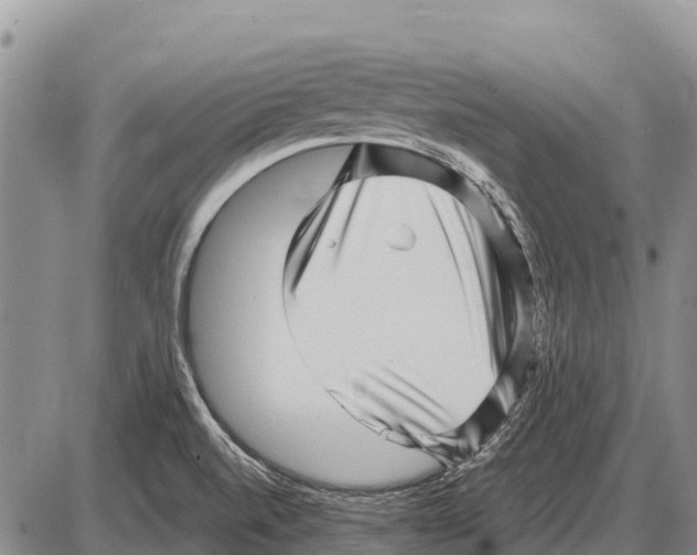 X0000086301520200704271814