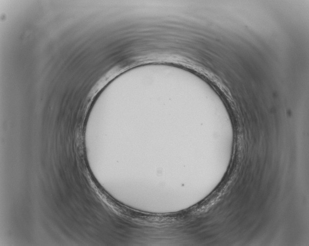 X0000086301521200704271814