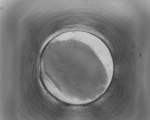 X0000086301522200704271814