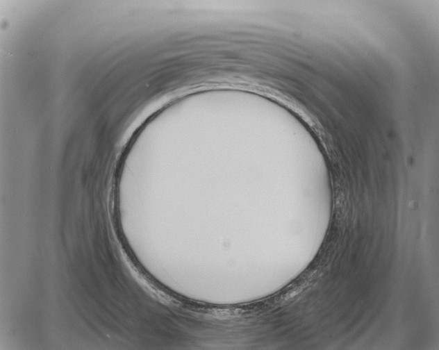 X0000086301523200704271814